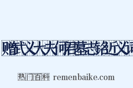 赠武义大夫何君墓志铭近义词是什么意思的图片